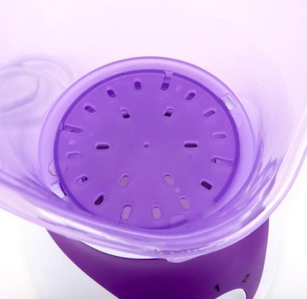 spray steamer Home steam beauty instrument - Image 10