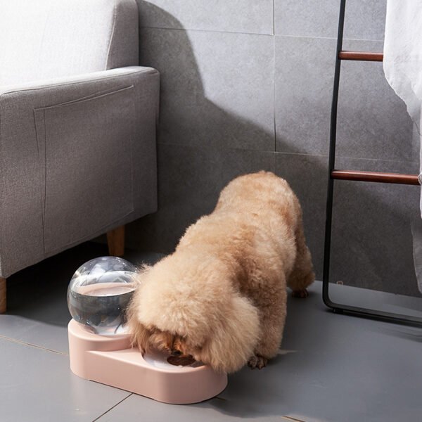 Gravity-Fed Water Dispenser - Image 2