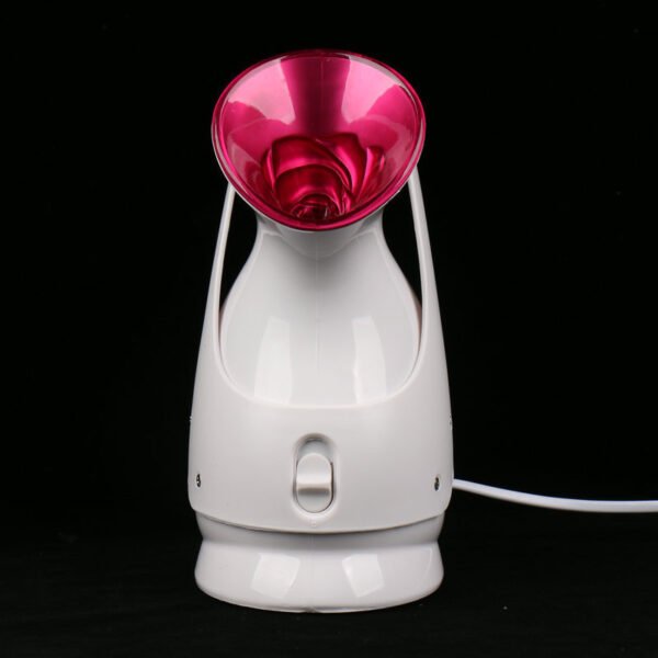 Nano Ion Steaming Facial Beauty Instrument Cleaner - Image 4