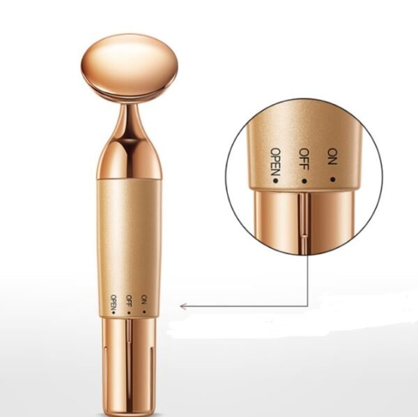 Beauty Equipment Home Electric Facial Importer - Image 4