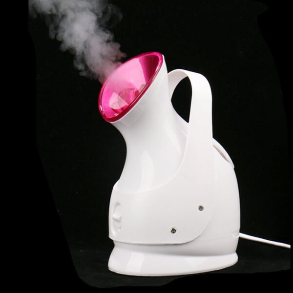 Nano Ion Steaming Facial Beauty Instrument Cleaner - Image 5