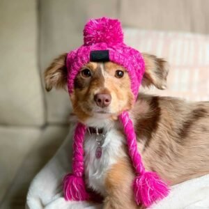Fluffy Knit Dog Hat
