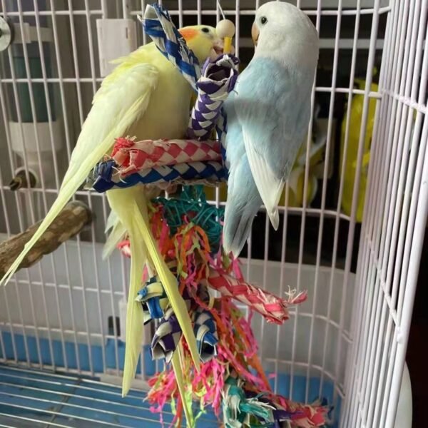 BoreBite Parrot Toy - Image 6