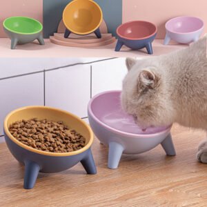 Elevated Pet Feeder