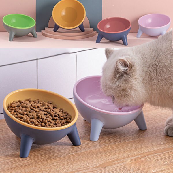 Elevated Pet Feeder