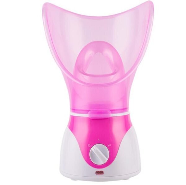 spray steamer Home steam beauty instrument - Image 2