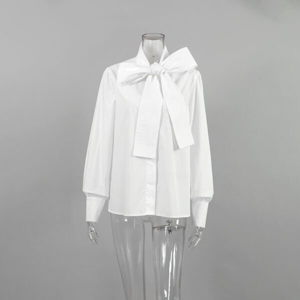 Minority Fashion Temperament Commute Shirt Women's Design Lace-up - Image 6