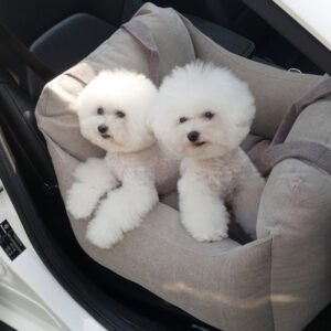 Breathable Dog Car Carrier Seat for Travel & Safety