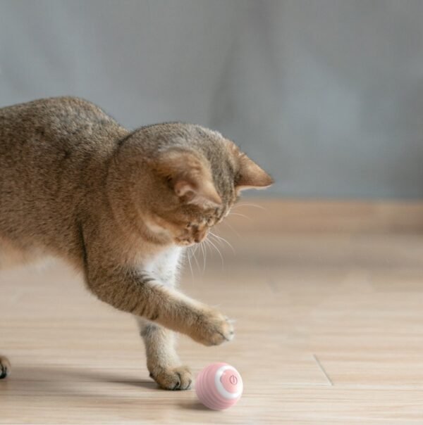 USB Rechargeable Cat Toy - Endless Fun - Image 4