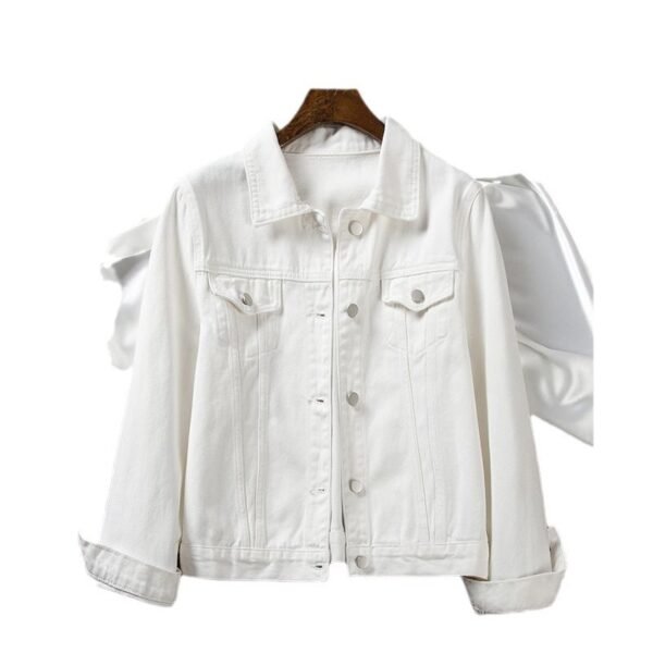 Short Spring  Loose Versatile Casual Jacket Petite Top - Image 6