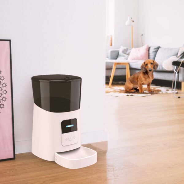 Pet feeder automatic - Image 2