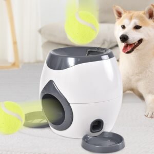 Automatic Ball-Throwing Machine