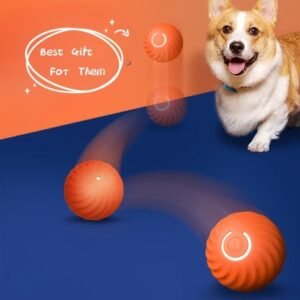 Bouncy Dog Ball - Perfect for Fetch and Play
