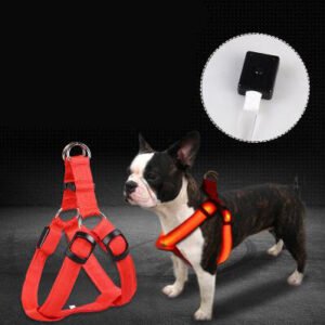 GlowPaw Harness