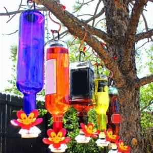 VinoBird Feeder