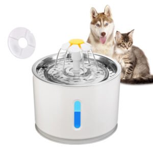 LED-Lit Water Dispenser