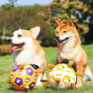 Durable Dog Chew Toy