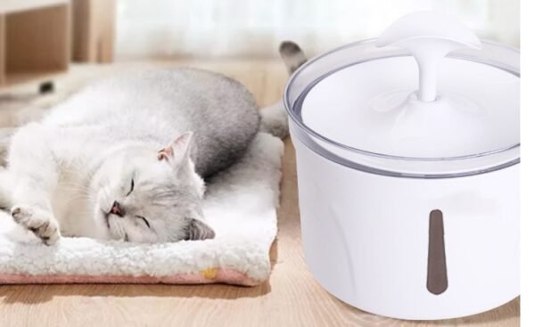 Quiet Pet Water Fountain - Image 4