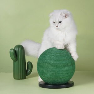 Cactus-Shaped Cat Scratching Ball