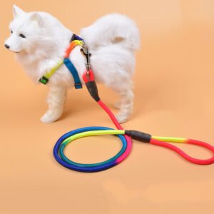 Colorful Nylon Dog Leash