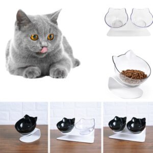 Non-Slip Pet Bowl
