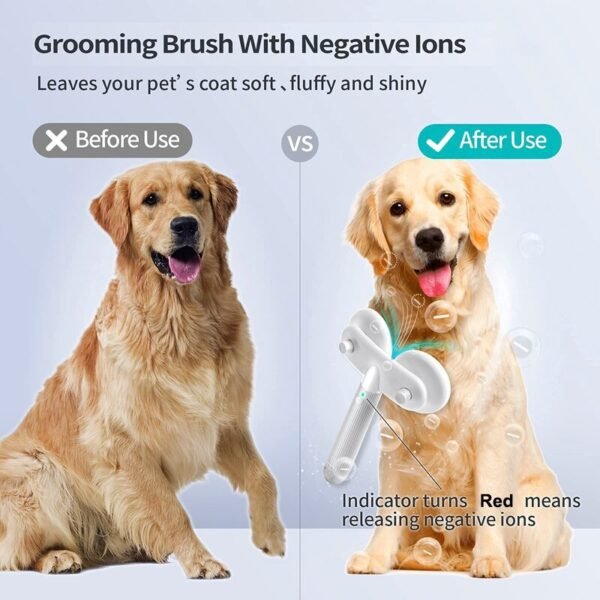 Double-Headed Pet Brush with Negative Ion & Self-Cleaning - Image 6