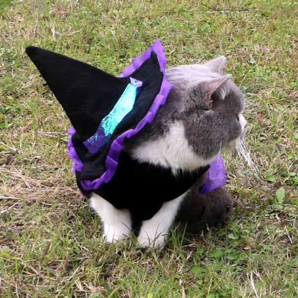WizardPaw Costume - Image 5