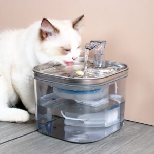LED Illuminated Water Dispenser
