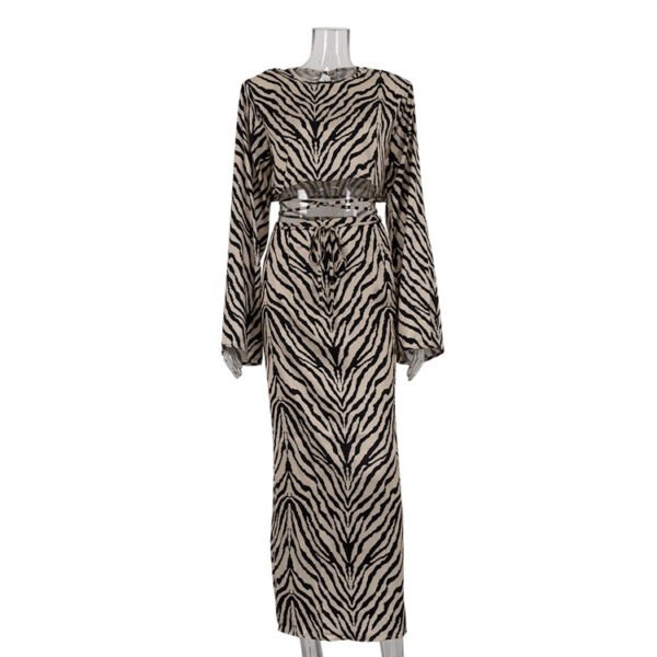 Zebra Striped Long Sleeves Cropped Top Suit Skirt Two-piece Set - Image 6