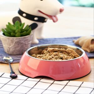 Stainless Steel Pet Bowl