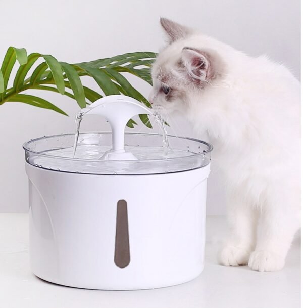 Quiet Pet Water Fountain