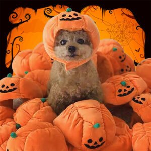 Cute Pumpkin Pet Costume