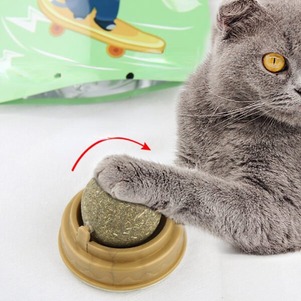 Catnip Balls Cat Treats Rotary Molar Teeth Cleaning - Image 4
