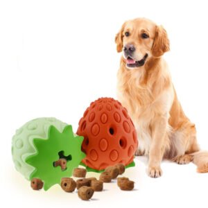 Interactive Chew Toy
