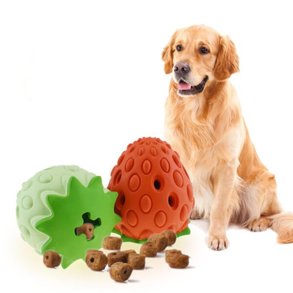 Interactive Chew Toy