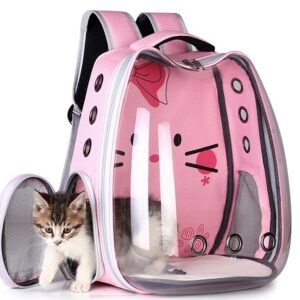 Comfortable Travel for Cats and Dogs