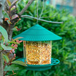 ClearView Bird Feeder