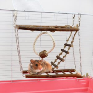 ClimbBridge Toy