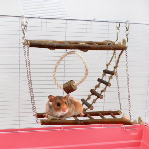 ClimbBridge Toy