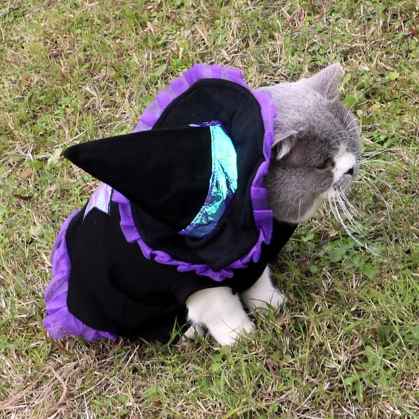 WizardPaw Costume - Image 4