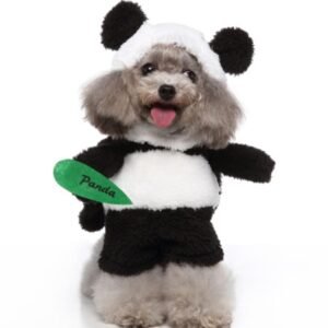 StandPaw Costume