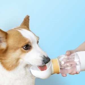 Portable Pet Water Bottle