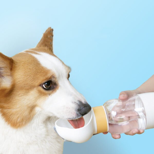 Portable Pet Water Bottle
