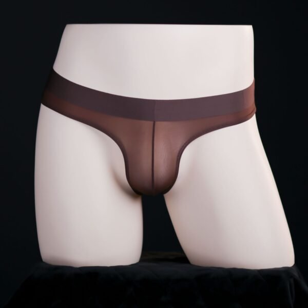 Ultra-Thin Shiny See-through Briefs Men's Underwear - Image 9