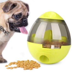 Slow Feeder Dog Bowl - Prevents Gulping and Bloating