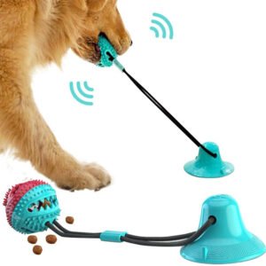 Suction Cup Dog Toy - Indoor and Outdoor Fun