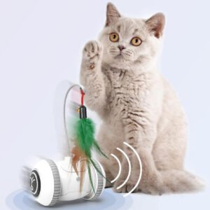 Swappable Head Interactive Cat Feather Toy