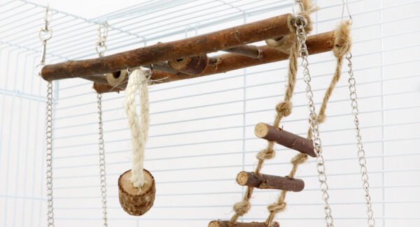 ClimbBridge Toy - Image 2