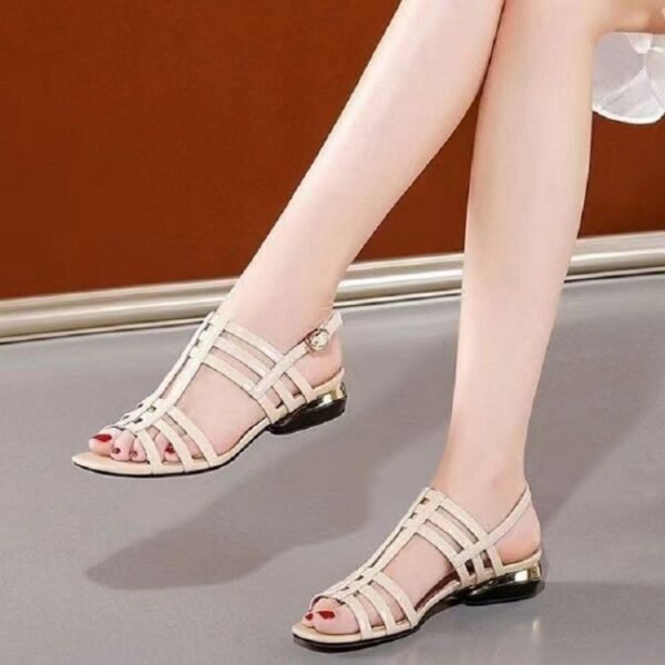 Casual Sports Women's Mid Heel Chunky Heel Sandals Oak - Image 2