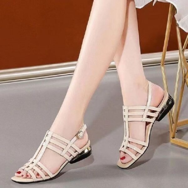 Casual Sports Women's Mid Heel Chunky Heel Sandals Oak - Image 3
